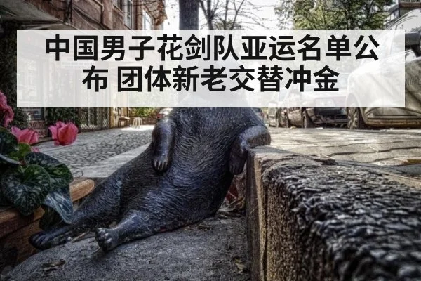 中国男子花剑队亚运名单公布 团体新老交替冲金